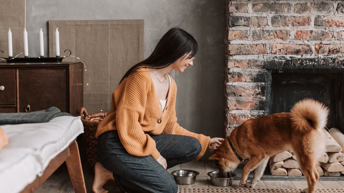 A vetted pet sitter in Hong Kong lovingly petting a happy Shiba Inu during an in-home pet care visit.